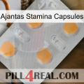 Ajantas Stamina Capsules 24